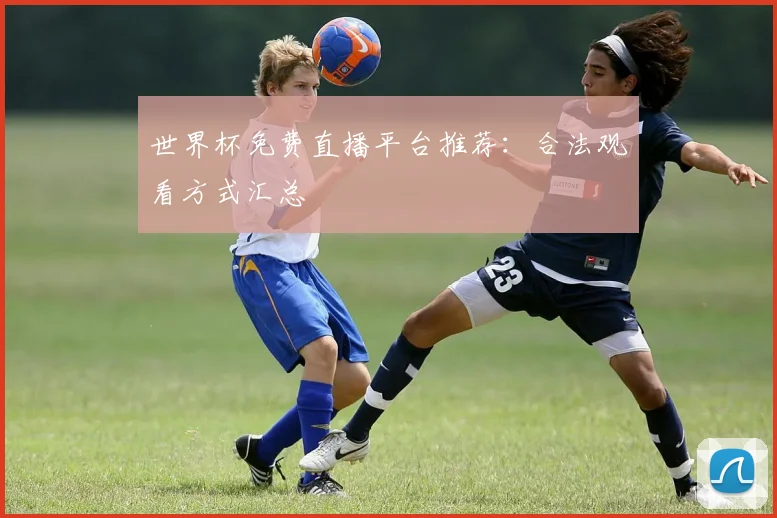 世界杯免费直播平台推荐：合法观看方式汇总