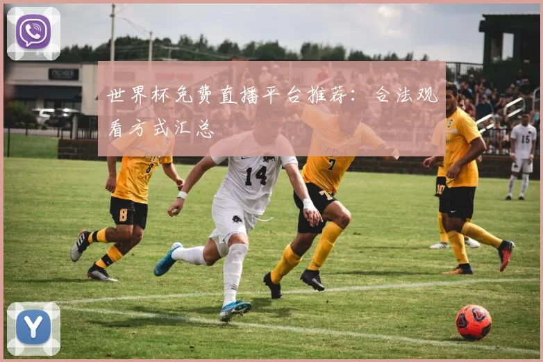 世界杯免费直播平台推荐：合法观看方式汇总