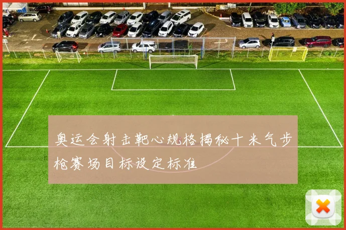 奥运会射击靶心规格揭秘十米气步枪赛场目标设定标准