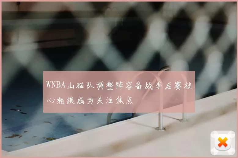 WNBA山猫队调整阵容备战季后赛核心轮换成为关注焦点