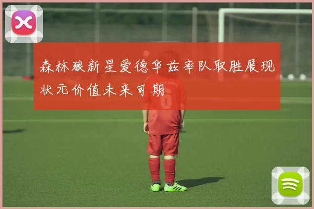 森林狼新星爱德华兹率队取胜展现状元价值未来可期